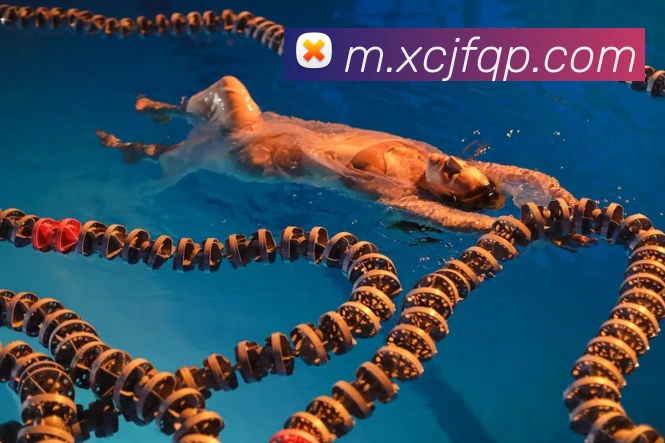 体育App